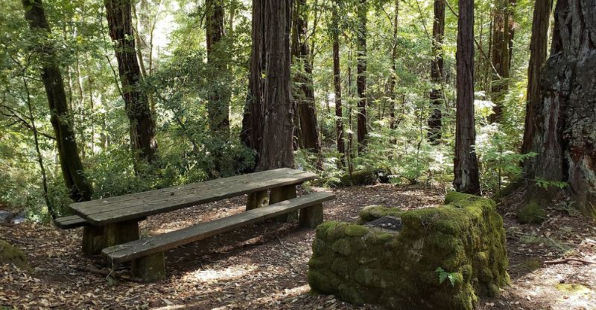 California Has A Hidden State Park That Most Travelers Dont Know - Decor Hint