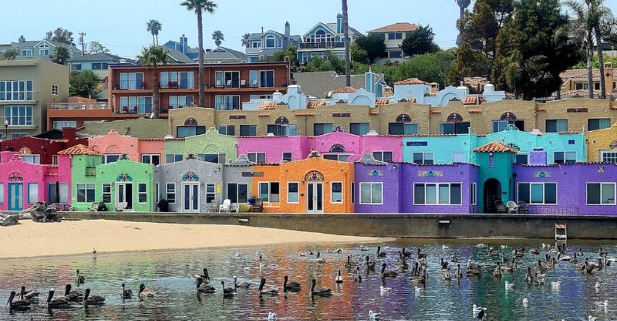 Californias Banana Belts Are The Sunny Microclimates You Never Knew - Decor Hint
