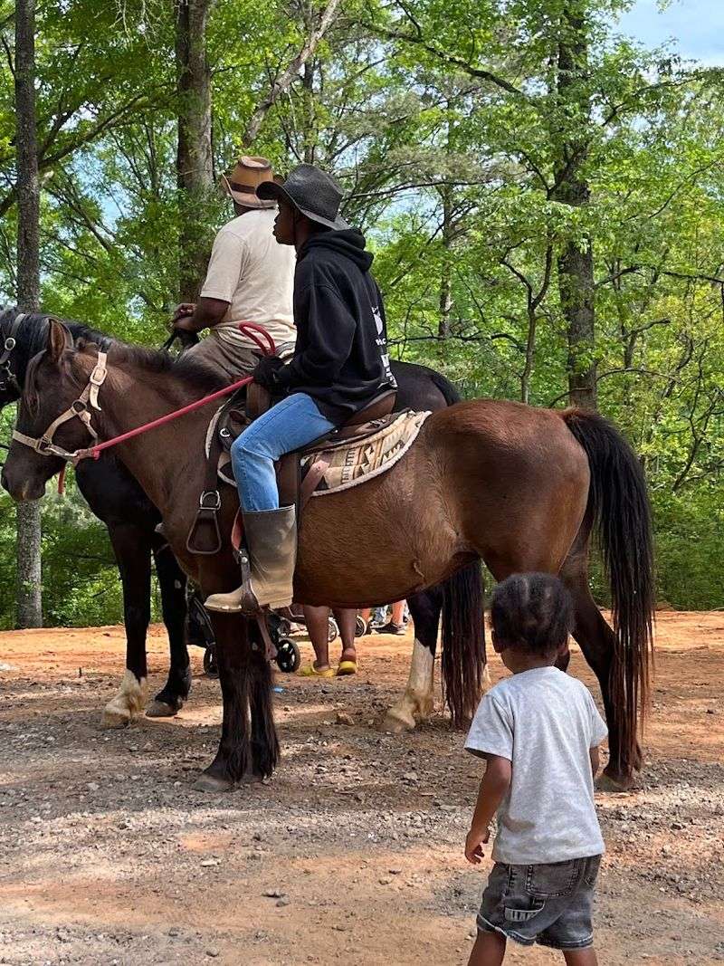 13 Family-Friendly Horseback Riding Ranches Across Georgia That Make A Weekend Feel More Adventurous - Decor Hint The Smith Family Ranch