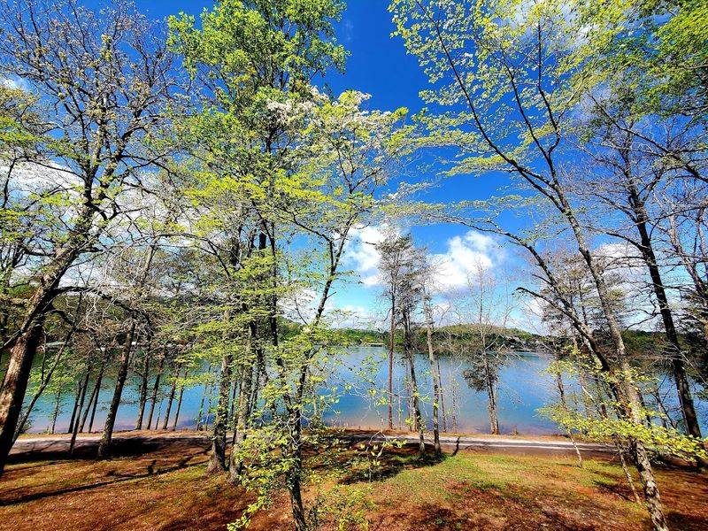 This Beautiful Hidden Mountain Fairgrounds In Georgia Is A Magical Escape From The City - Decor Hint The Fourth Of July Celebration And Fireworks
