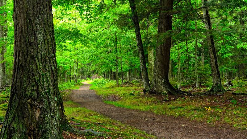 This Scenic 2-Mile Hike In Wisconsin Takes You Past Beautiful Caves And A Hidden Waterfall - Decor Hint Practical Tips Before You Head Out