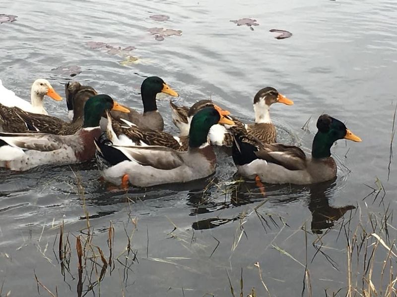 Wildlife Surprises Around Every Corner
