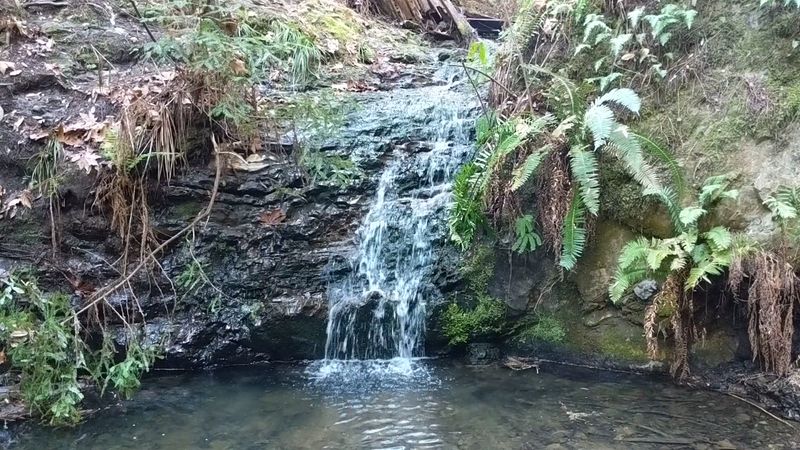 Tiptoe Falls And The Creekside Scenery Along Pescadero Creek