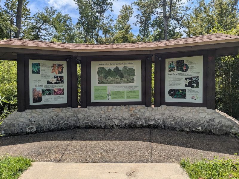 Beneath This Beloved Florida State Park Lies A Remarkable Underground Wonder - Decor Hint
Everything Waiting For You Back Above Ground