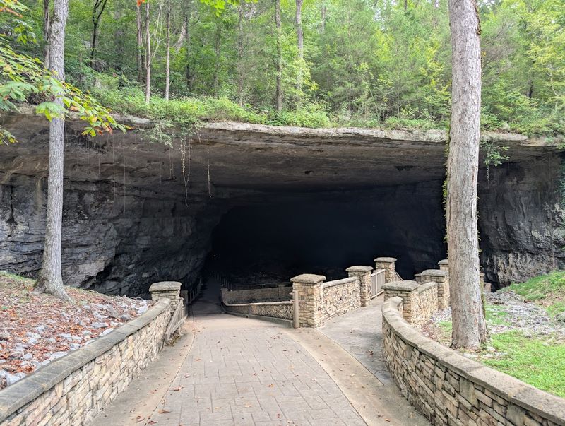 Cathedral Caverns State Park Trail