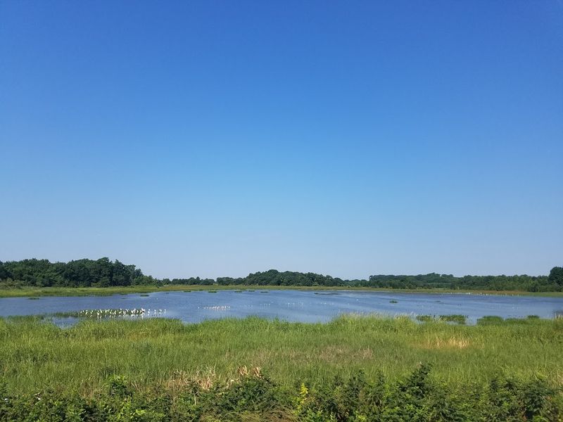 Bombay Hook National Wildlife Refuge