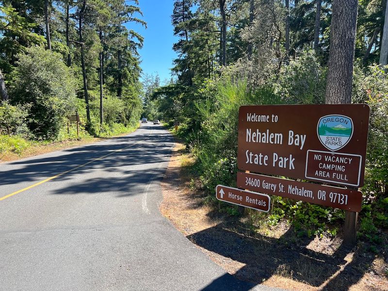 These 17 Family Adventures Make Oregon's State Parks Even More Fun - Decor Hint Nehalem Bay State Park