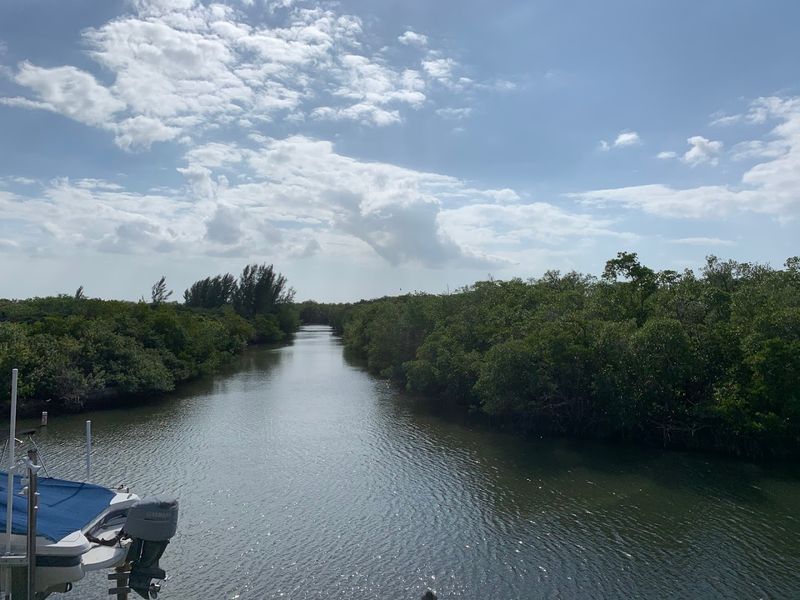 17 Incredible Florida Islands That Belong On Every Weekend Getaway List - Decor Hint Pine Island