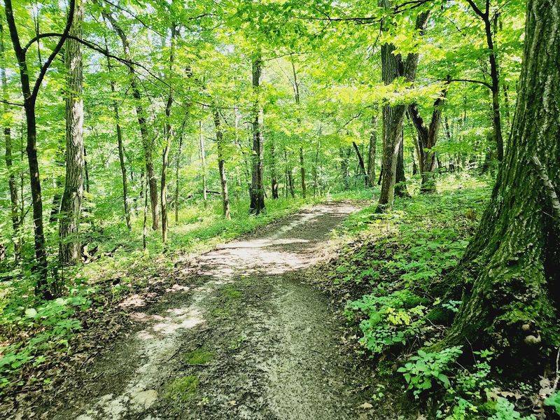 Chester Woods Park Trails