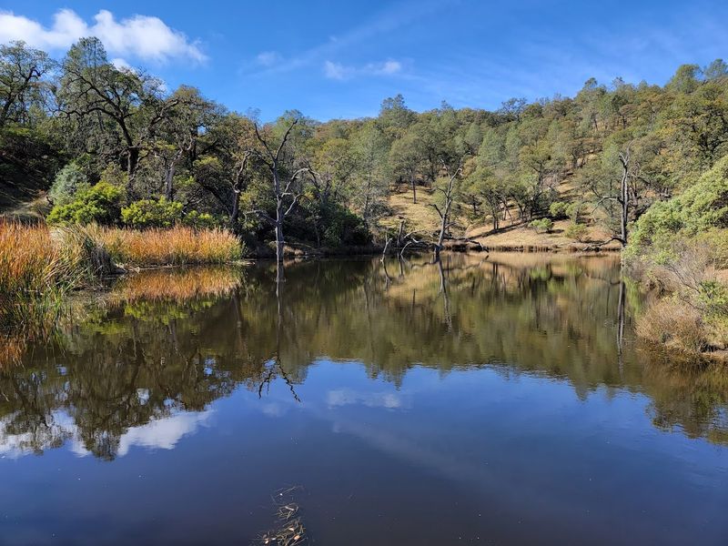 12 Hidden California Swimming Spots That Make Summer Feel Like A Secret Escape - Decor Hint China Hole, Henry W. Coe State Park, Morgan Hill