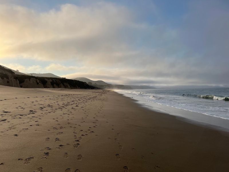 These 12 California Beaches Are Known For Sea Glass Or Interesting Shells - Decor Hint Limantour Beach, Point Reyes