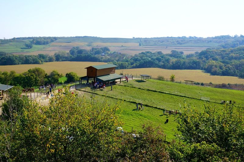A Working Ranch With More Personality Than A Regular Petting Zoo