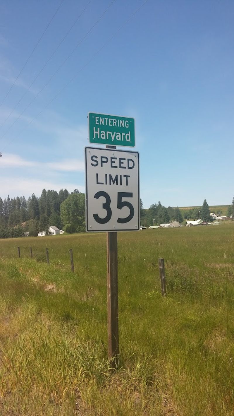 The Idaho Farm Where You Can Pick Blueberries For $4 A Pound - Decor Hint Harvard Makes The Farm Feel Like A True Backroads Find