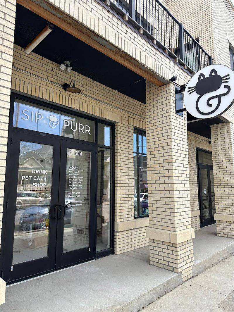 Cat Lovers Are Completely Smitten With This Wisconsin Café - Decor Hint A Café With Real Purr-pose
