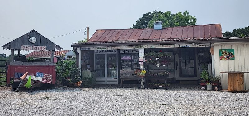 Fresh Peaches And Organic Produce Worth Taking Home