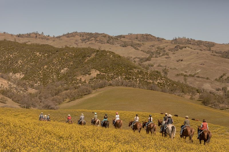 Cowboy Academies Teach Skills You Cannot Fake