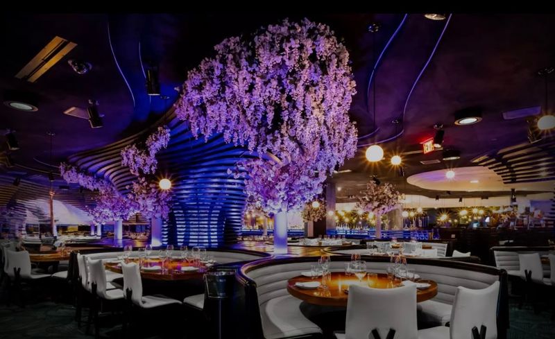 STK Steakhouse