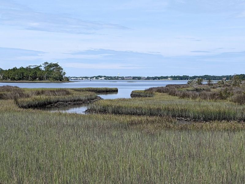 Salt Marsh Scenery Gives The Short Walk Its Softest Payoff