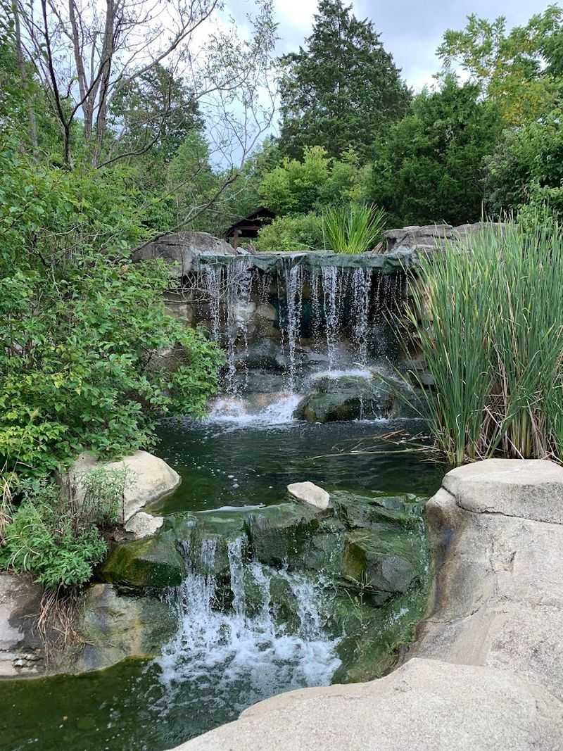 These 14 Kentucky Birdwatching Destinations Feel Like Hidden Front-Row Seats To Nature - Decor Hint Salato Wildlife Education Center