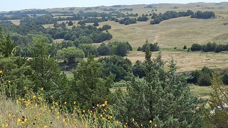 Nebraska National Forest, Halsey