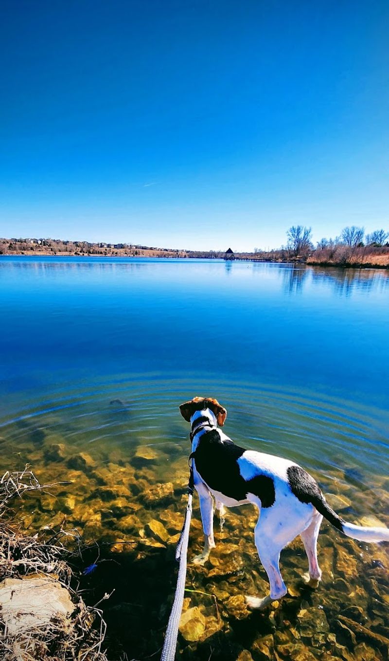 Walnut Creek Lake Recreation Area, Papillion, Nebraska