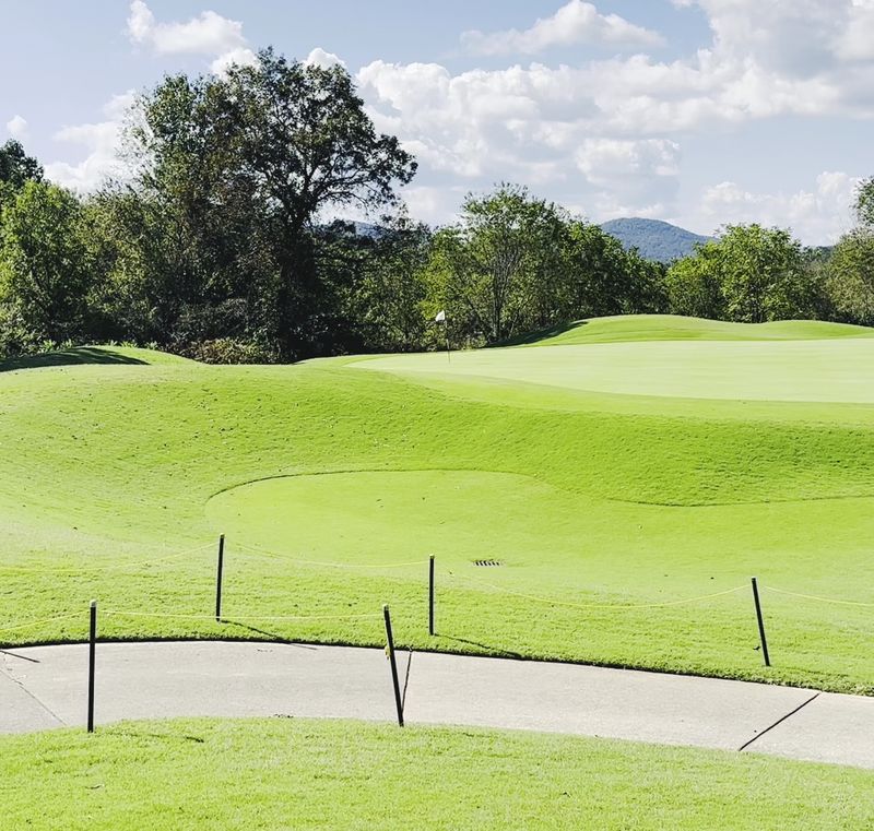 The Georgia Golf Course Where Mountain Views Might Just Make It The State's Finest - Decor Hint Immaculate Fairways That Feel Like Carpet
