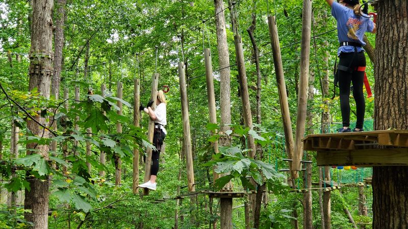 12 Georgia Summer Day Trips That Feel Like Mini Vacations Without Passing $50 - Decor Hint Treetop Quest Gwinnett