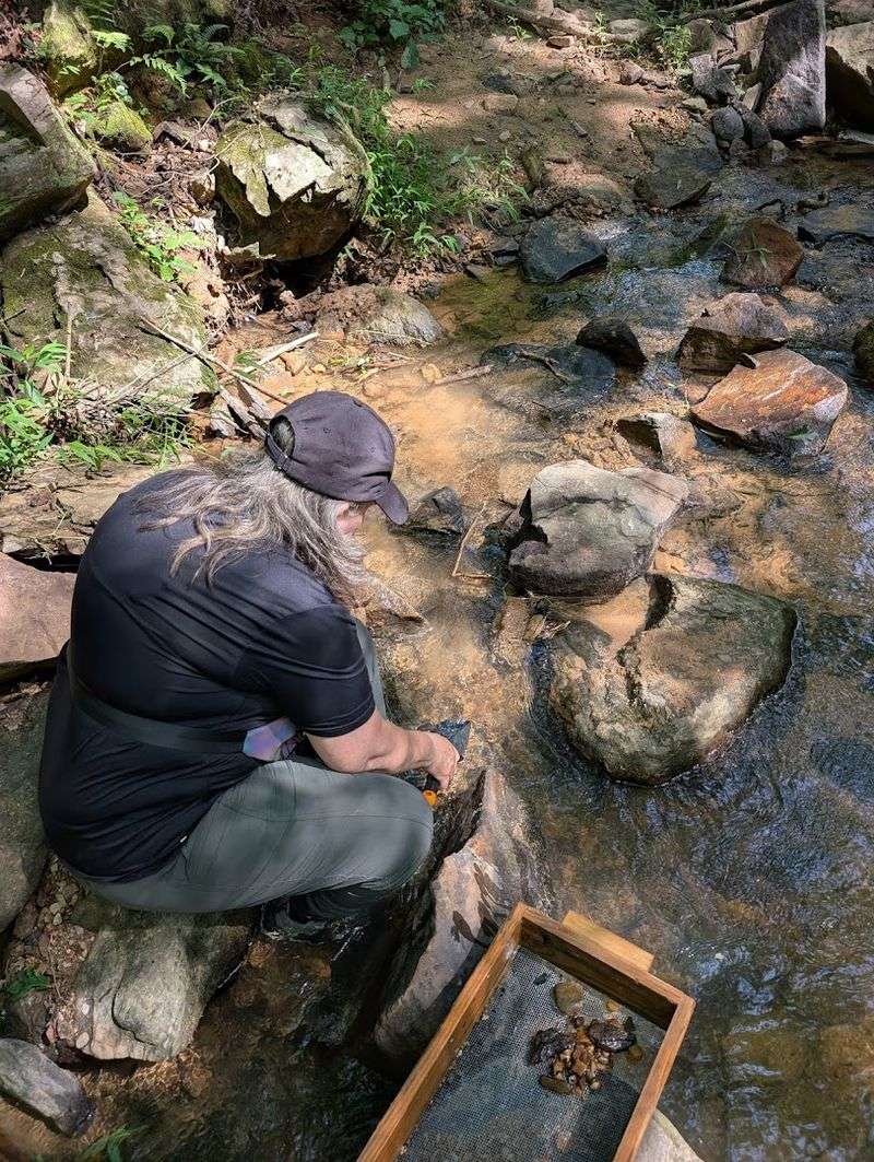 11 North Carolina Rockhounding Spots Where Crystals And Hidden Gems Wait - Decor Hint Emerald Hollow Lets Visitors Hunt For Real Gems