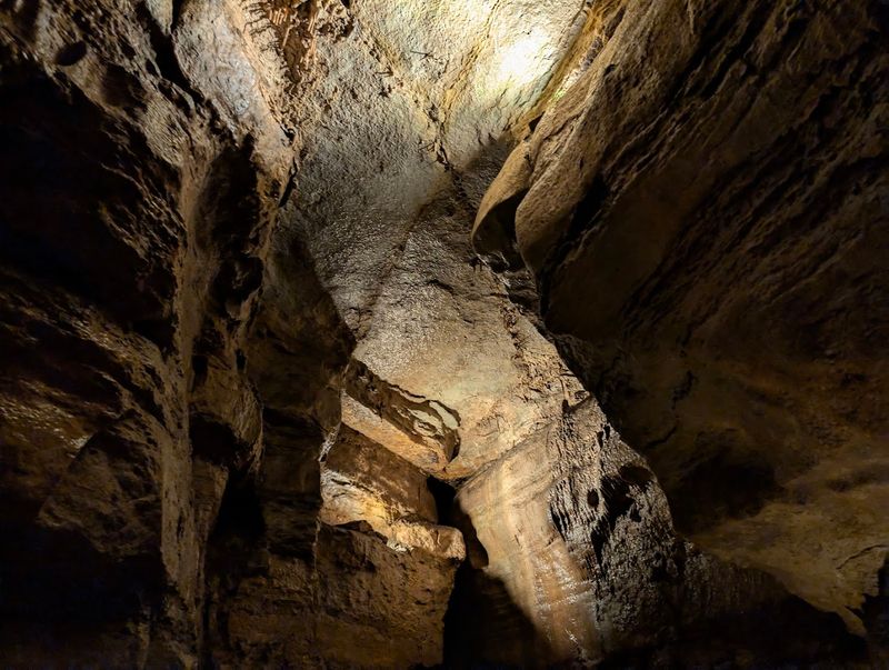 Forestville/Mystery Cave State Park Trails