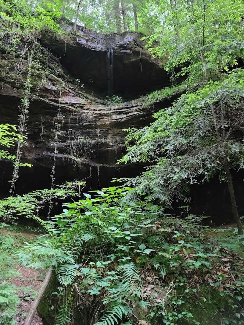 Sipsey Wilderness Trail (Sipsey River Trailhead)
