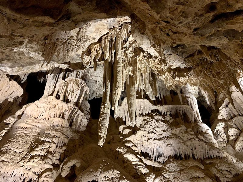 Providence Mountains State Recreation Area and Mitchell Caverns