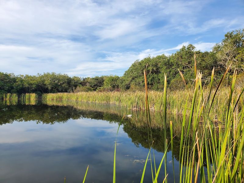 What To Expect On A Guided Night Kayak Tour