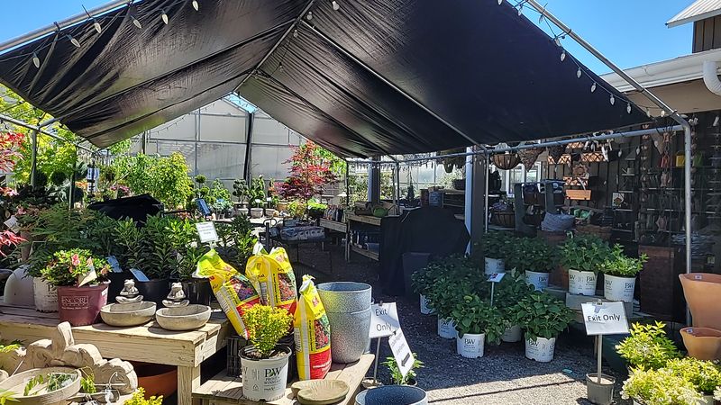 Landscaping Design And Installation Services For Your Own Backyard