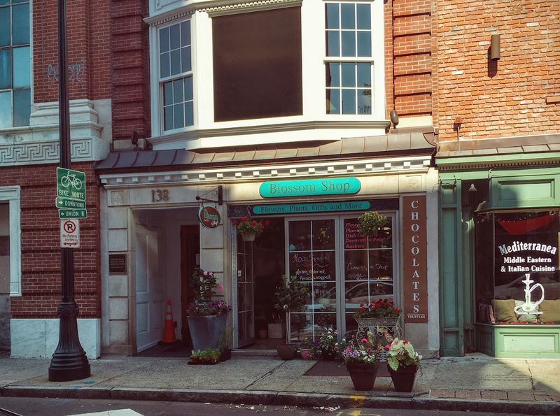 The Blossom Shop, New Haven