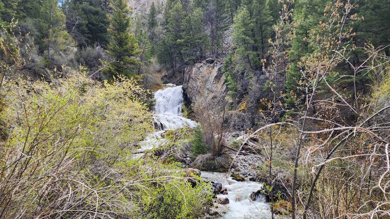 Lower Cedar Creek Trail