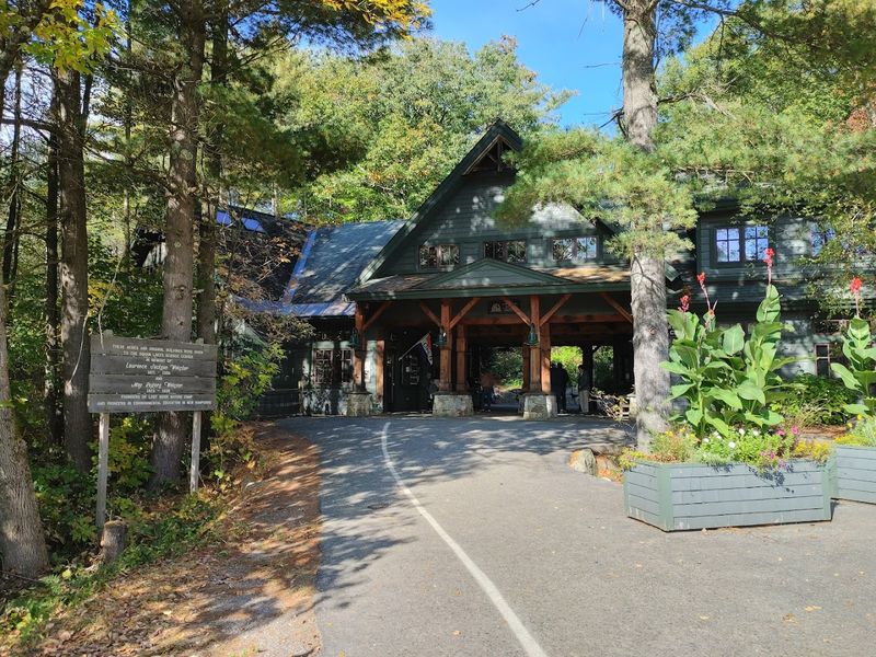 9 New Hampshire Day Trips That Turn Into Lasting Family Memories - Decor Hint Squam Lakes Natural Science Center, Holderness