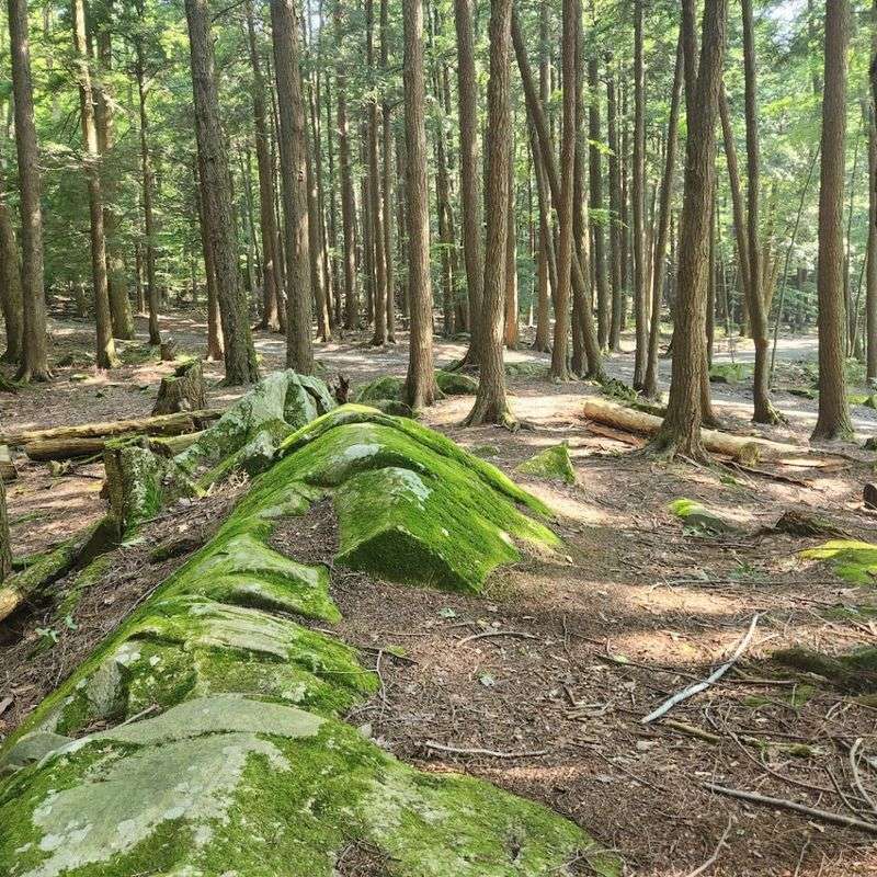 Little Johnny's Trail, Grafton Lakes State Park 