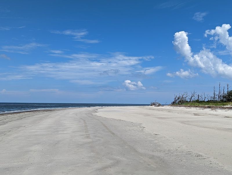 Jekyll Island Campground
