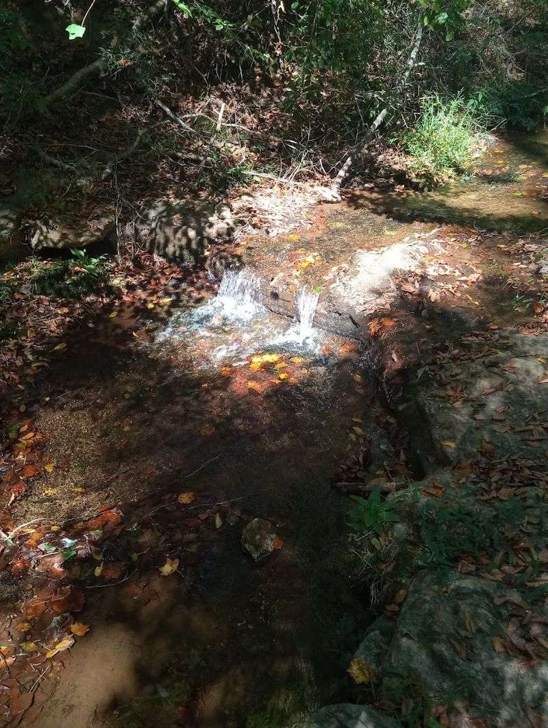 Lithia Springs
