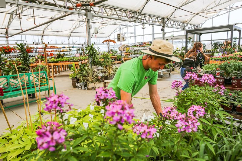 The Bucket Option Is For Serious Flower Ambition