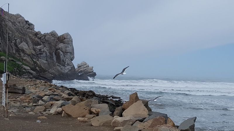 Morro Bay Estuary, Morro Bay