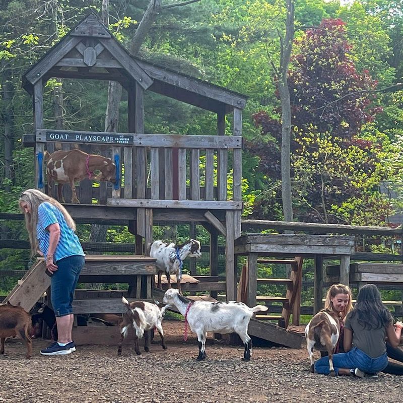 Small Farm, Big Memories