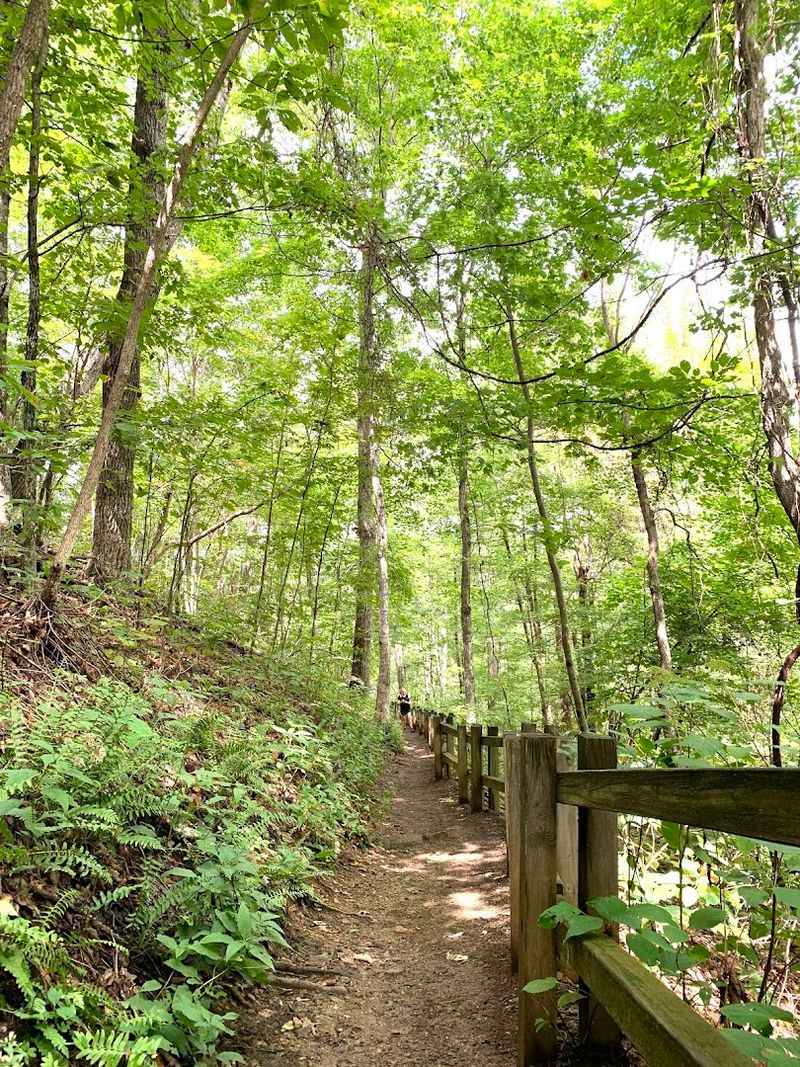 Crabtree Falls, George Washington National Forest, Nelson County