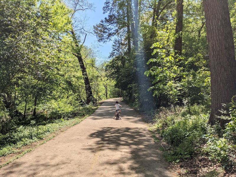 Neighborhood Views That Tell Atlanta's Story
