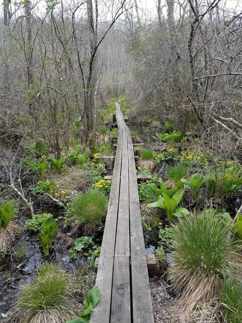 Trails That Go Somewhere Worth Going