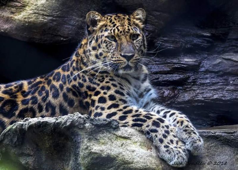 Connecticut's Beardsley Zoo