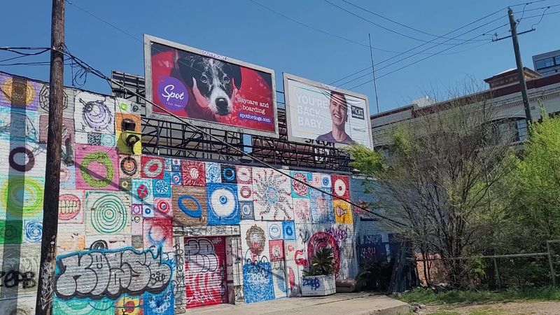 A Dog-Friendly Paradise