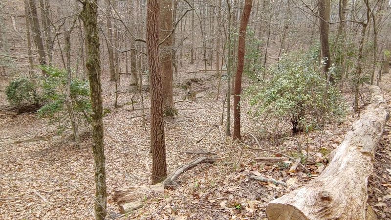 The Georgia Mountain Bike Trail That Feels Like Traveling Back In Time - Decor Hint The Scribner Family Gravesite Hidden In The Woods