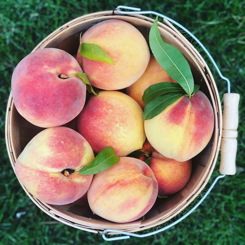 An Authentic Slice Of Georgia's Peach Country Heritage