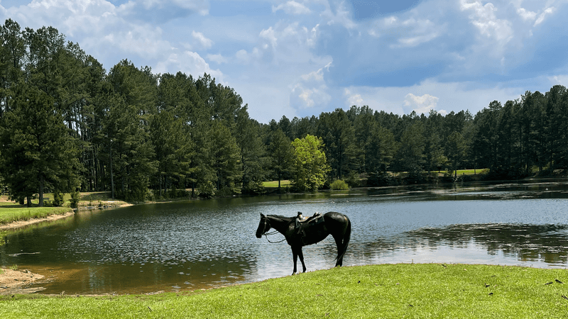 13 Family-Friendly Horseback Riding Ranches Across Georgia That Make A Weekend Feel More Adventurous - Decor Hint Rolling Hills Horse Ranch